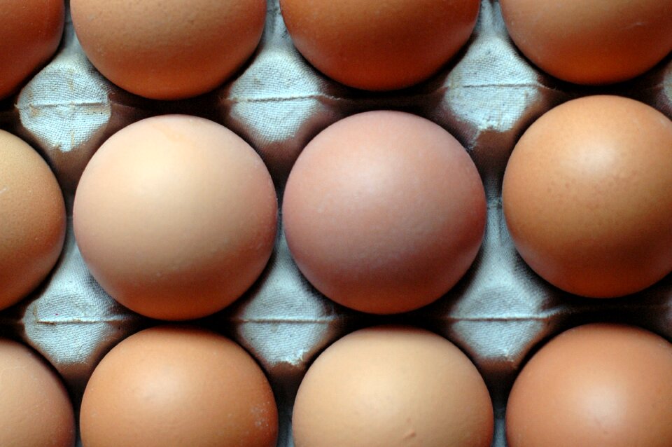 Pattern food nutrition