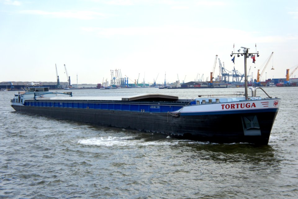Tortuga - ENI 06004022, Port of Antwerp