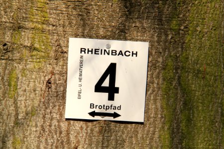 Tomburg Rheinbach 2012-03-25-25-6206