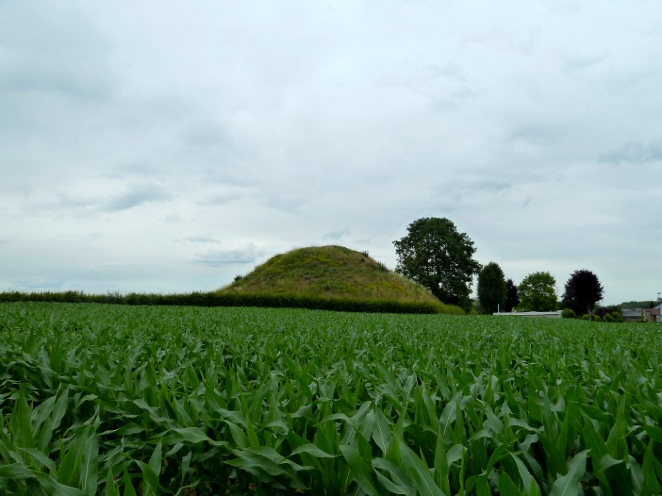 Tongeren-Tumulus Koninksem (Romeinse Kassei) (1)