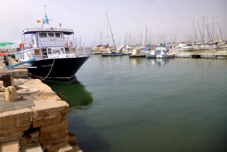 Torrevieja - Puerto 03