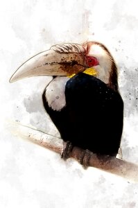 Tropical rainforest fauna