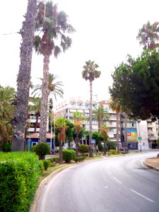 Torrevieja - Paseo de la Libertad 1