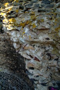 Tomburg Rheinbach 2012-03-25-25-6266