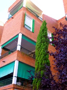 Torrejón de Ardoz - Viviendas experimentales Rafael Leoz 14