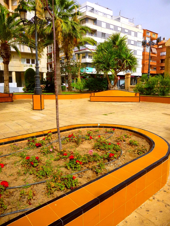Torrevieja - Plaza de la Constitución 07