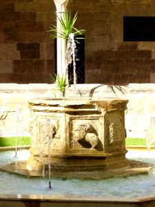 Tortosa - Catedral, claustro 23
