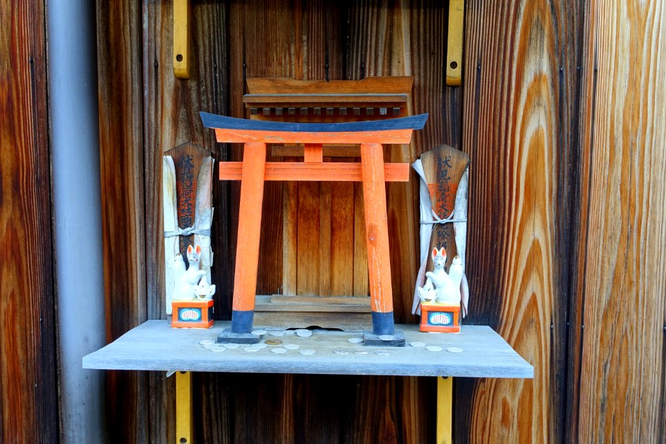 Torii-ette - Kyoto, Japan - DSC07410
