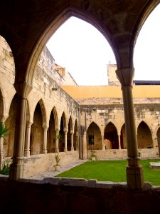 Tortosa - Catedral, claustro 13