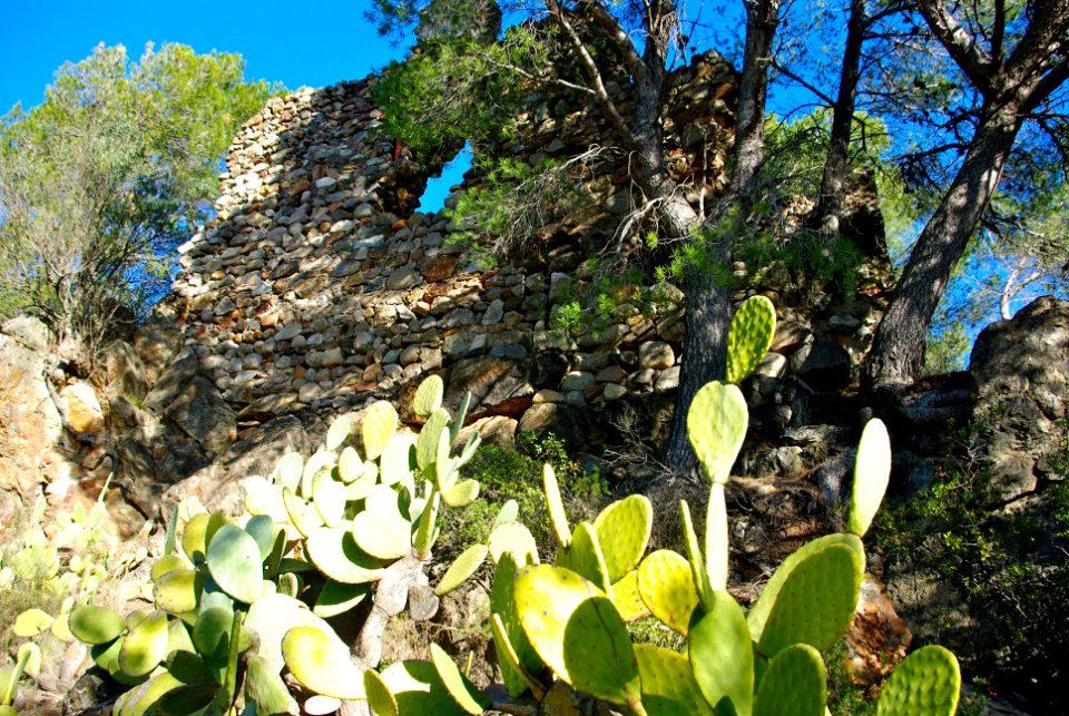 Torre Riudecols02