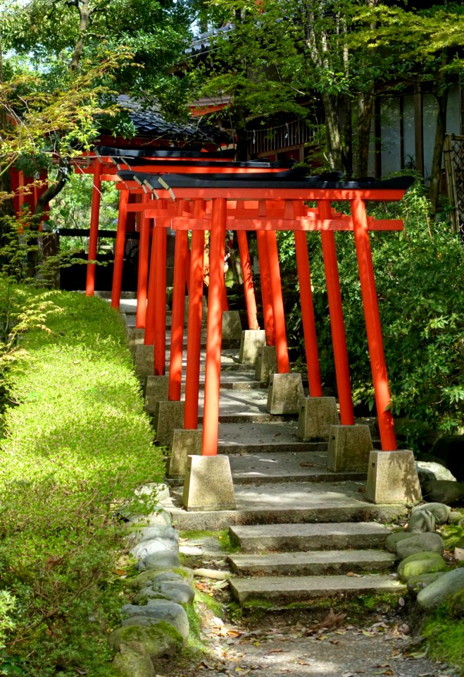 Torii - Kanizawa Shrine - Kanazawa, Japan - DSC09972