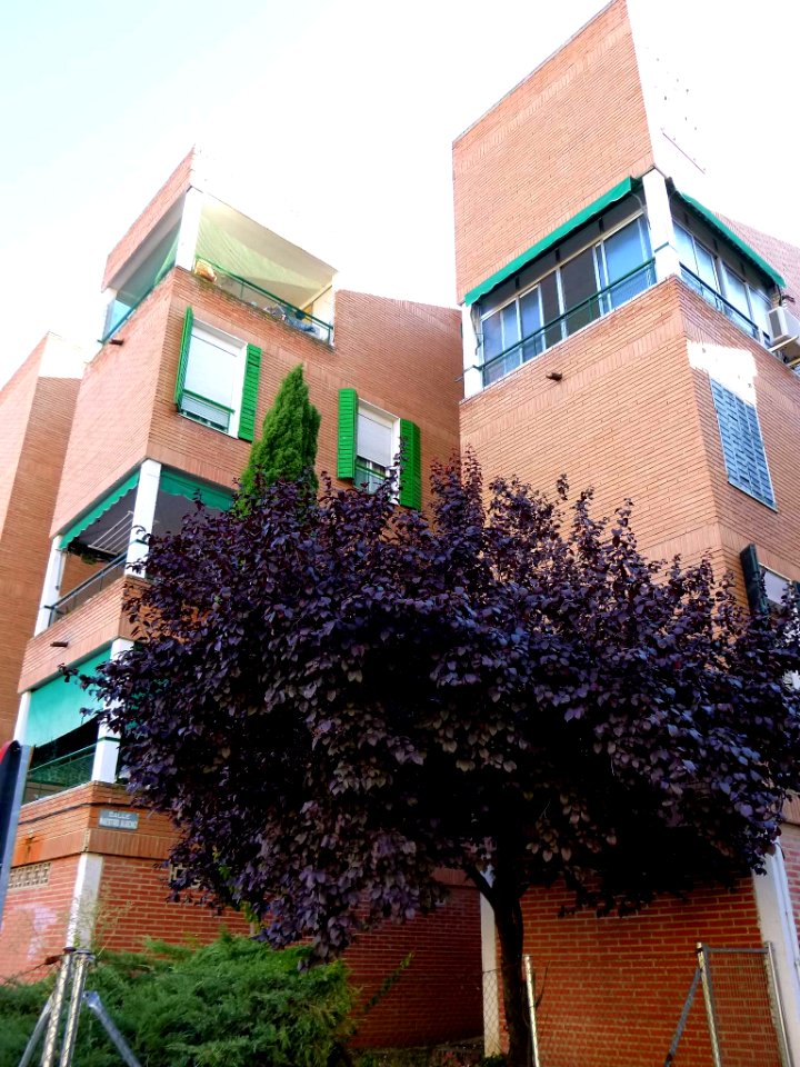 Torrejón de Ardoz - Viviendas experimentales Rafael Leoz 03