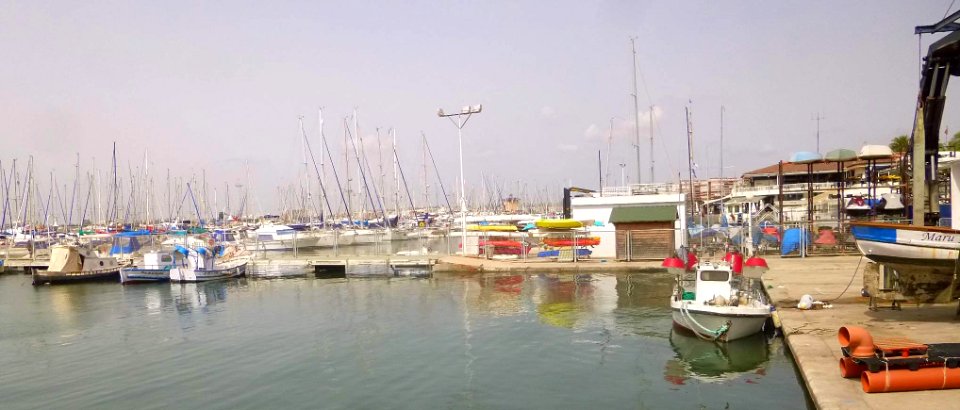 Torrevieja - Puerto 04