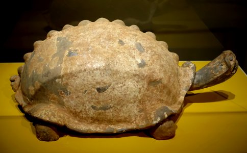 Tortoise, Sichuan province, China, Eastern Han dynasty, 1st-2nd century AD, earthenware with traces of calcified green lead glaze - Portland Art Museum - Portland, Oregon - DSC08542 photo