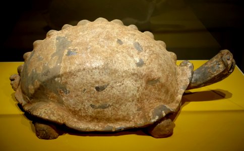 Tortoise, Sichuan province, China, Eastern Han dynasty, 1st-2nd century AD, earthenware with traces of calcified green lead glaze - Portland Art Museum - Portland, Oregon - DSC08542