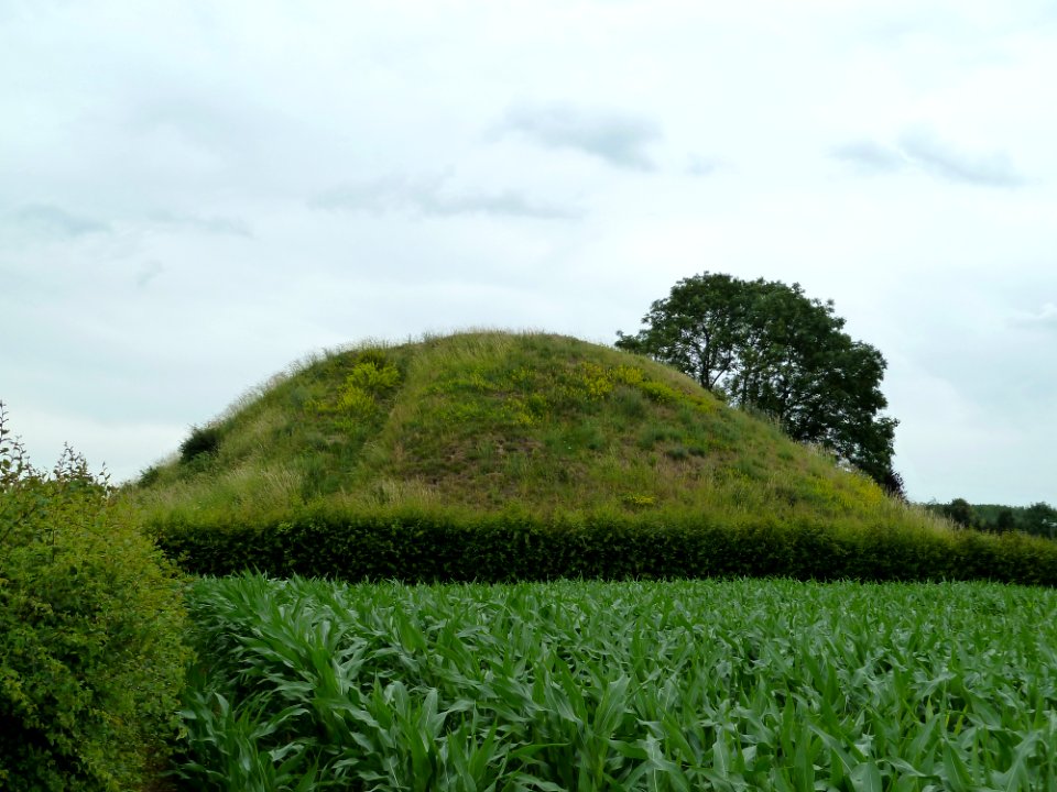 Tongeren-Tumulus Koninksem (Romeinse Kassei) (3)