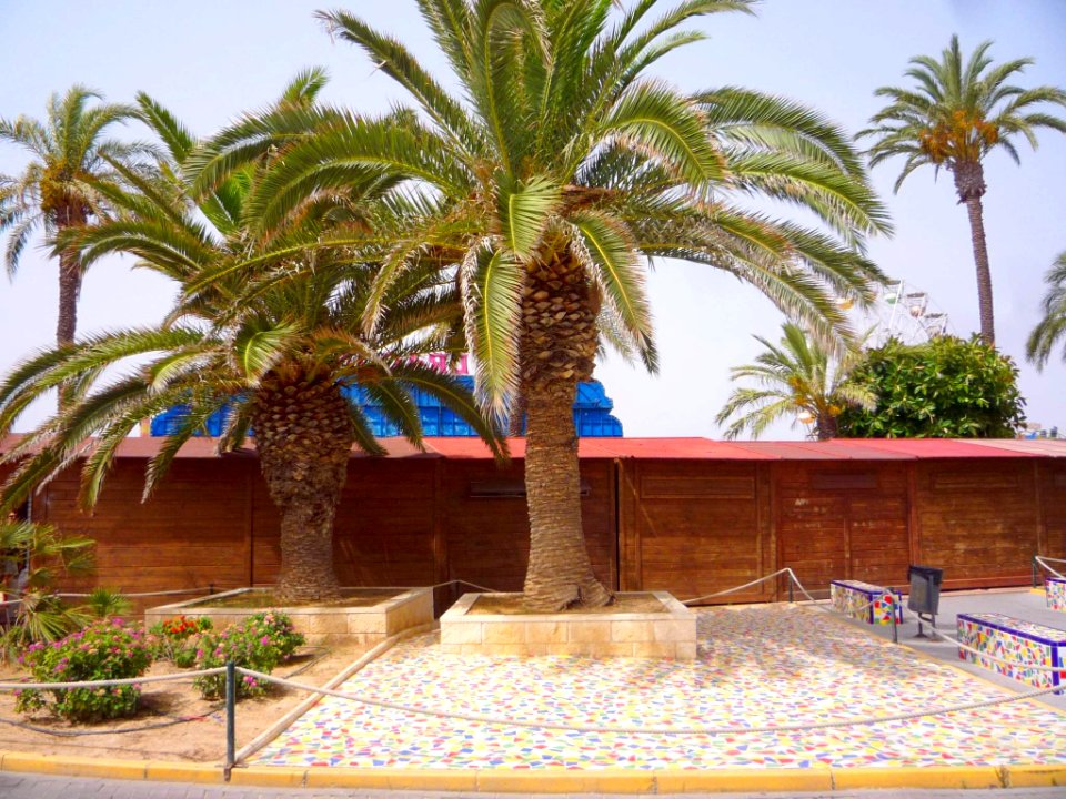 Torrevieja - Paseo de la Libertad 2
