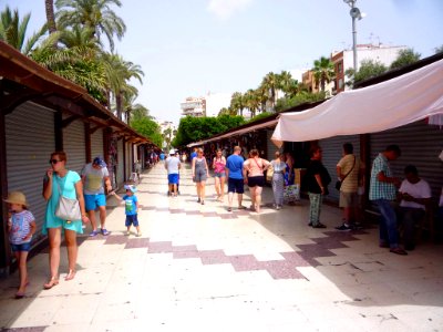 Torrevieja - Paseo de la Libertad 4