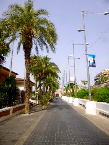 Torrevieja - Paseo de Vistalegre 2