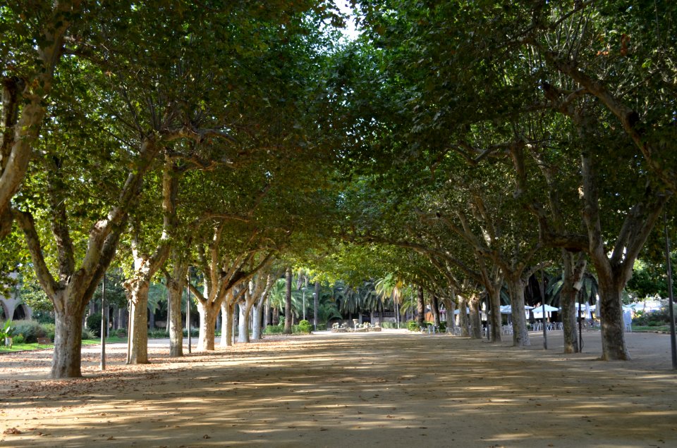 Tortosa, Parc de Teodor Gonzàlez (6)