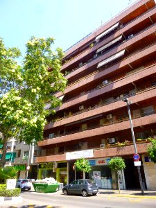 Torrent - Avinguda al Vedat 05
