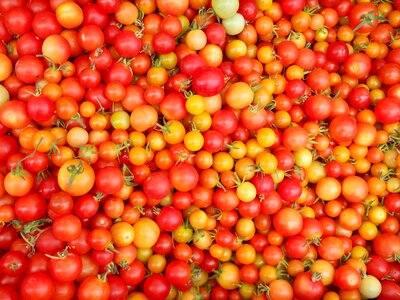 Vegetable meal tomato photo