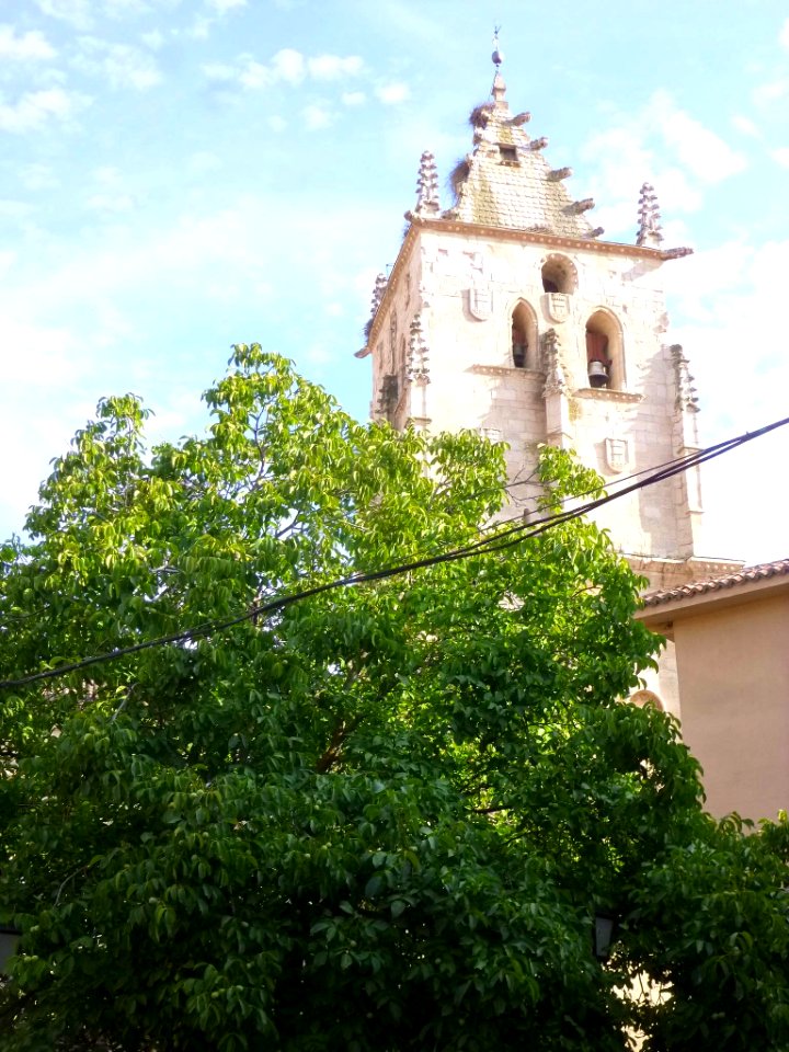 Torrelaguna - Iglesia de Santa María Magdalena, torre 04