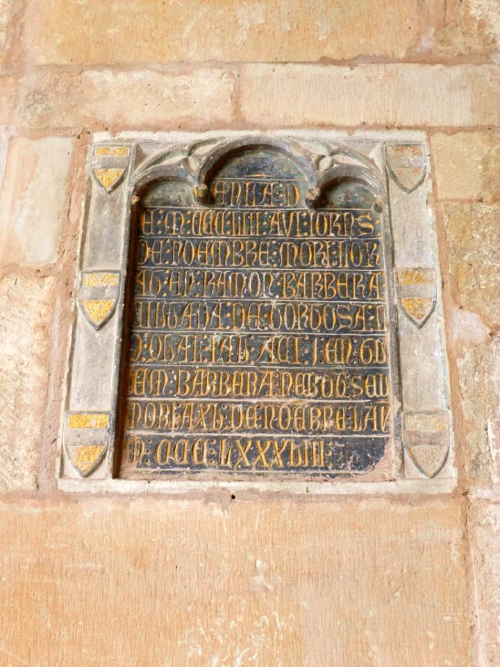 Tortosa - Catedral, claustro 19
