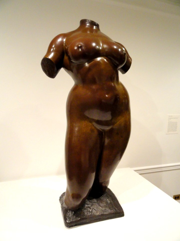 Torso of Elevation by Gaston Lachaise, modeled 1912-1918, cast 1966 - Corcoran Gallery of Art - DSC01216