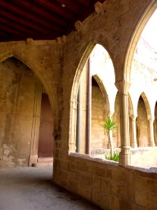 Tortosa - Catedral, claustro 12