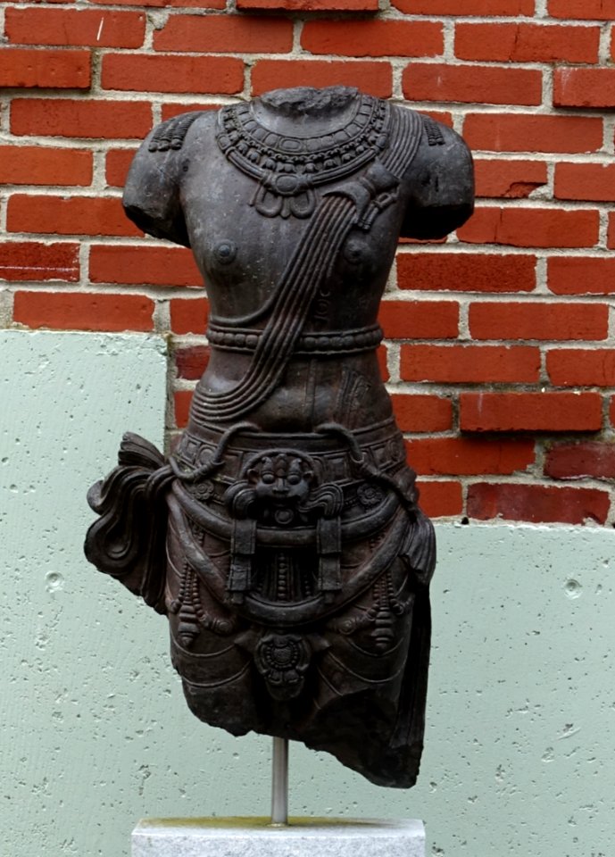 Torso - Arlington, MA - DSC09582