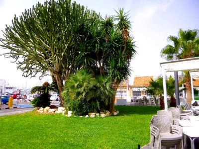 Torrevieja - Puerto 01