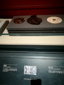 Tortoiseshell Bi discs and Jade Bi disc with Dragon Pattern, Western Han dynasty, Hunan Museum photo