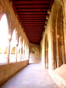 Tortosa - Catedral, claustro 21