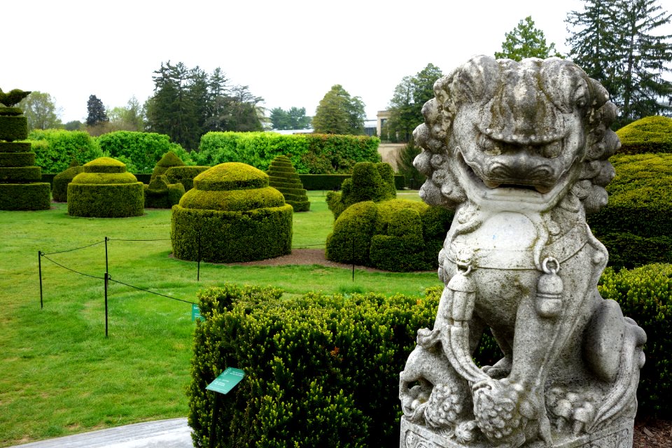 Topiary - Longwood Gardens - DSC00852