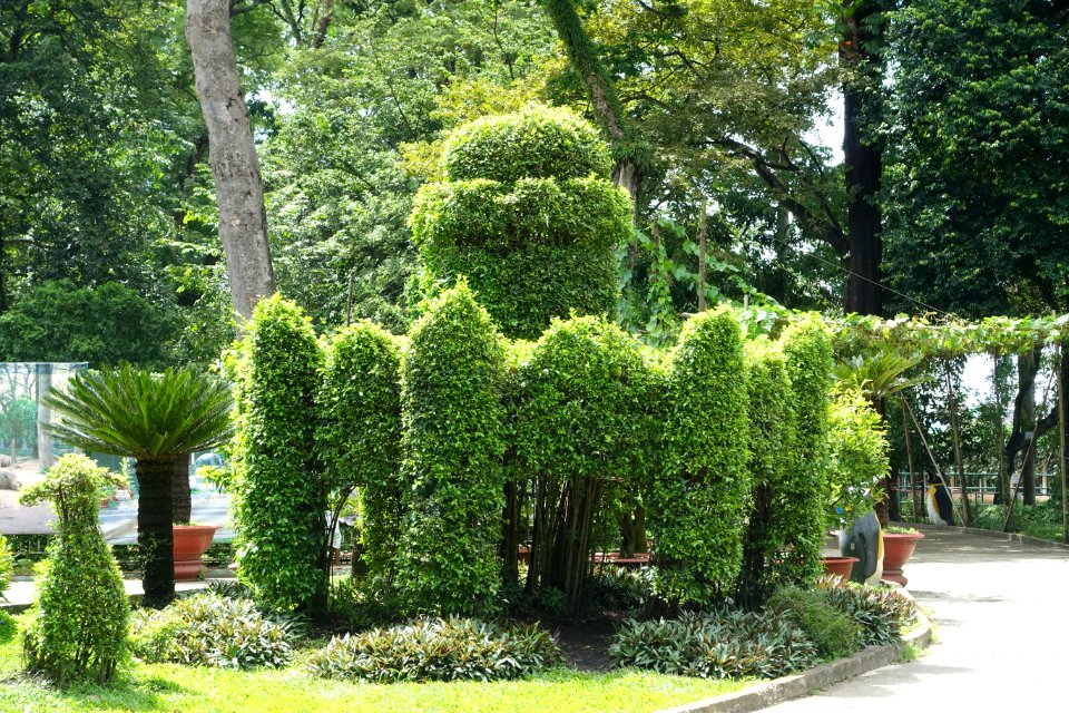 Topiary - Saigon Zoo and Botanical Gardens - Ho Chi Minh City, Vietnam - DSC01231