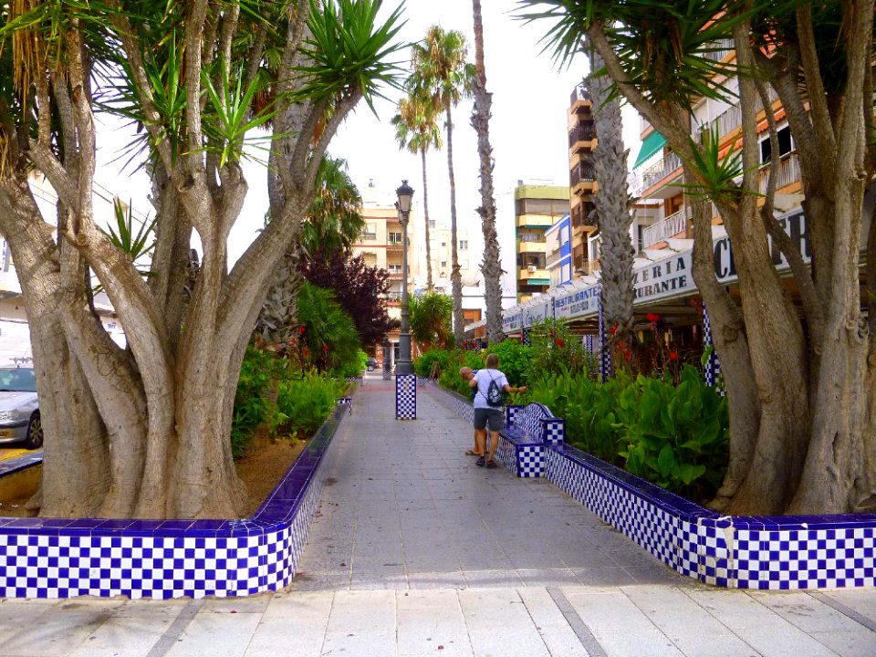 Torrevieja - Plaza de Castelar 1