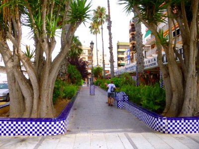 Torrevieja - Plaza de Castelar 1