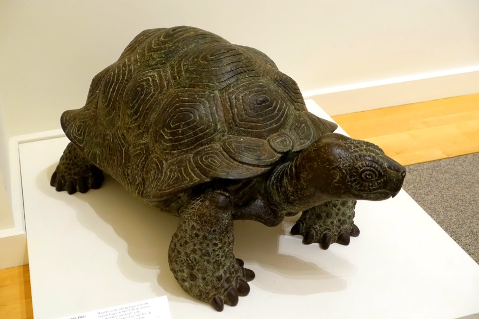 Tortoise by Paul Manship, 1916, bronze, view 2 - Cape Ann Museum - Gloucester, MA - DSC01469