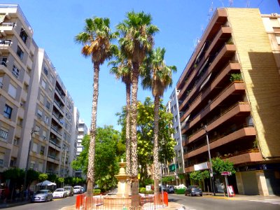 Torrent - Avinguda al Vedat 04