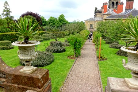 Topiary terrace - Biddulph Grange - Staffordshire, England - DSC09285