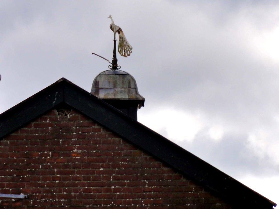 Torentje op koestal Frederik Bernardhoeve Staverden