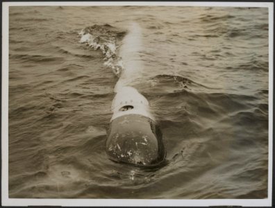 Torpedo coming to surface at the end of its run, Bestanddeelnr 158-2670