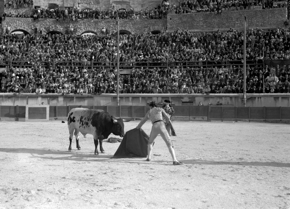 Torero's bevechten stier in de arena, in hun handen muleta's de stierenvechter , Bestanddeelnr 191-0415