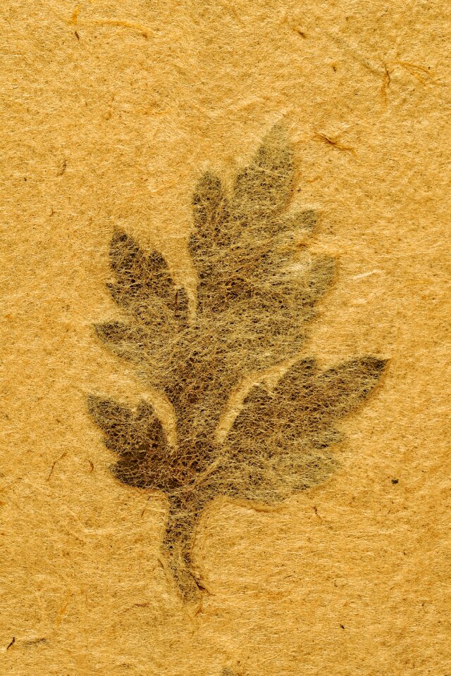 Background texture zen