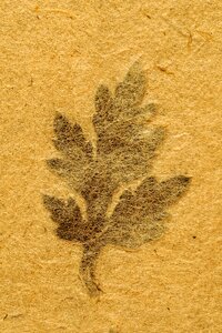 Background texture zen
