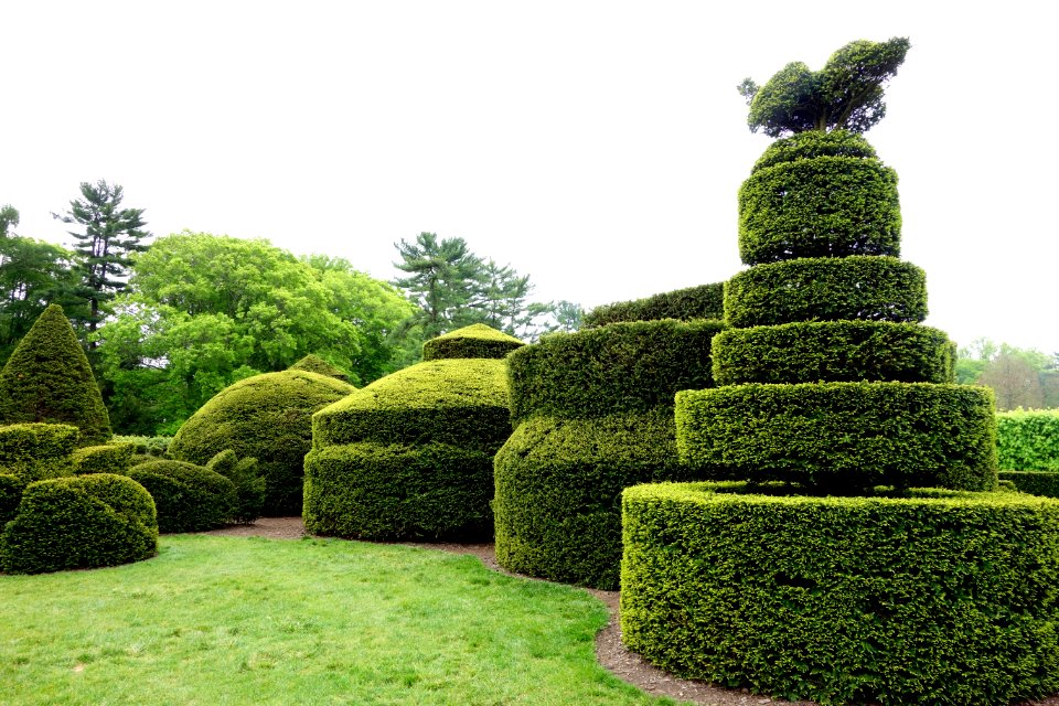 Topiary - Longwood Gardens - DSC00861