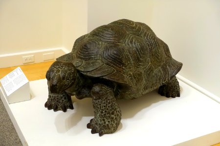 Tortoise by Paul Manship, 1916, bronze, view 1 - Cape Ann Museum - Gloucester, MA - DSC01467