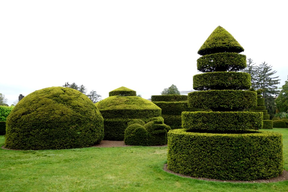 Topiary - Longwood Gardens - DSC00867