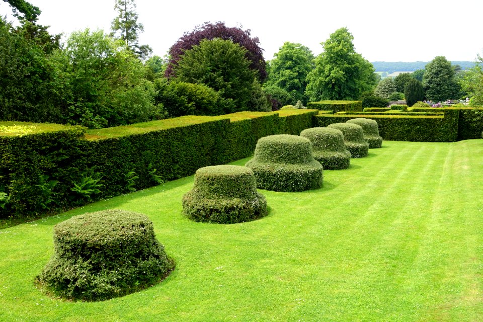 Topiary - Biddulph Grange Garden - Staffordshire, England - DSC09467